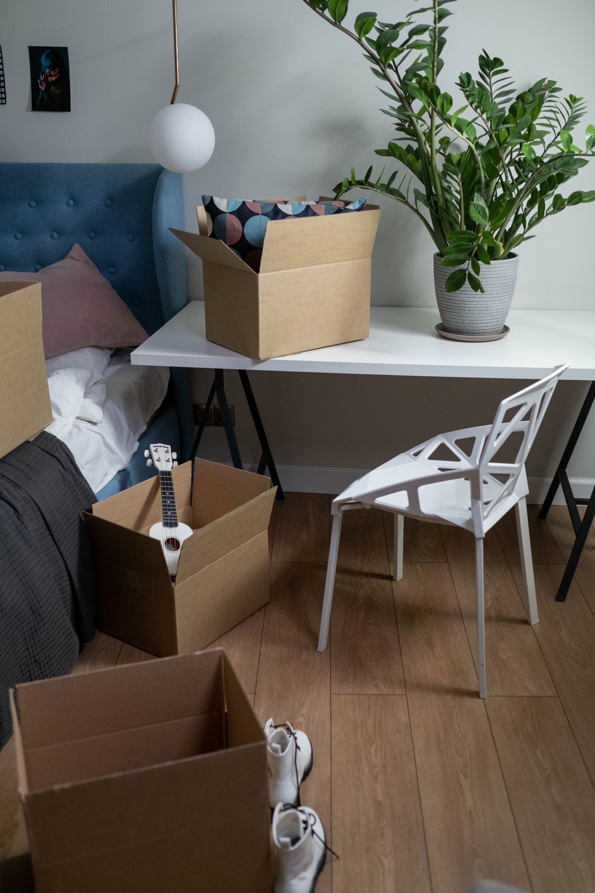 A cozy room setup featuring moving boxes, a houseplant, and a white chair, suggesting a move or renovation.